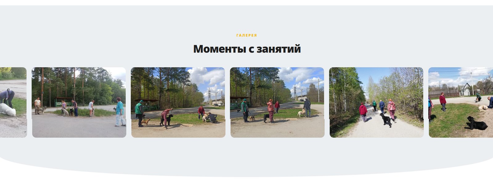 Раздел сайта – галерея «Моменты с занятий»