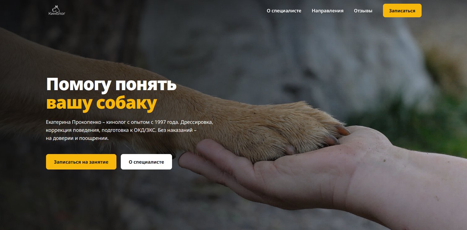 Сайты – кинолог, портал дома, агентство недвижимости