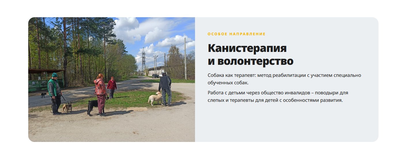 Раздел сайта – Канистерапия и волонтерство